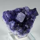 Primordial Goop Gems and Minerals