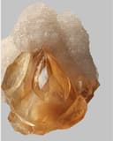 Pari Minerals
