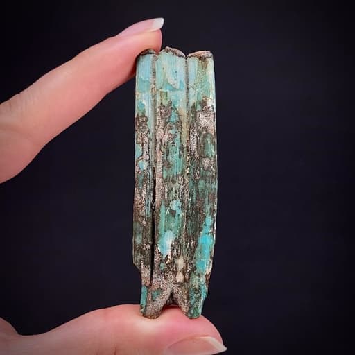 specimen video