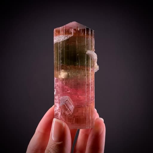 specimen video