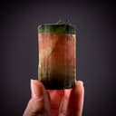 specimen video
