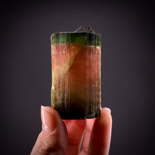 specimen video