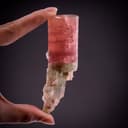 specimen video
