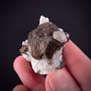 specimen video