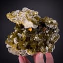 specimen video