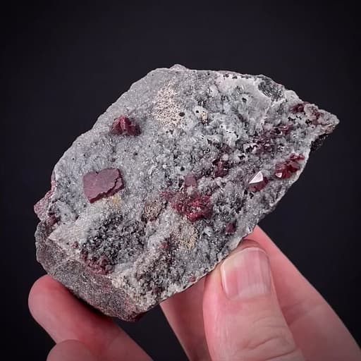 specimen video