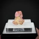 specimen video