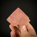 specimen video