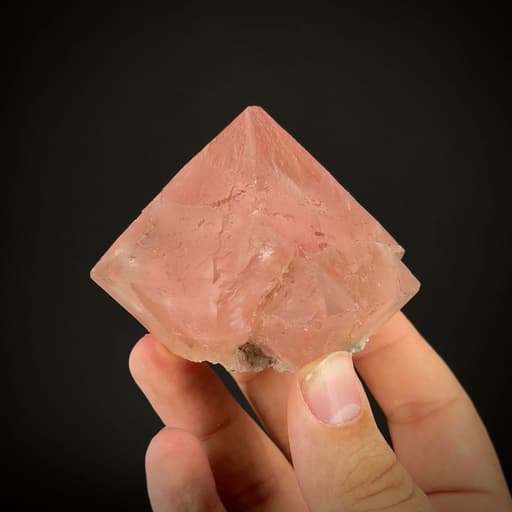 specimen video