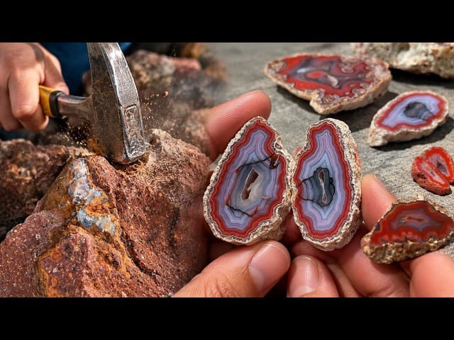 specimen video