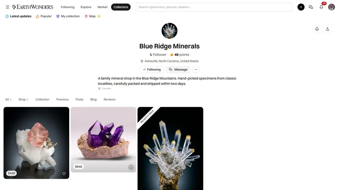 A seller profile with the Follow button next to the profile actions