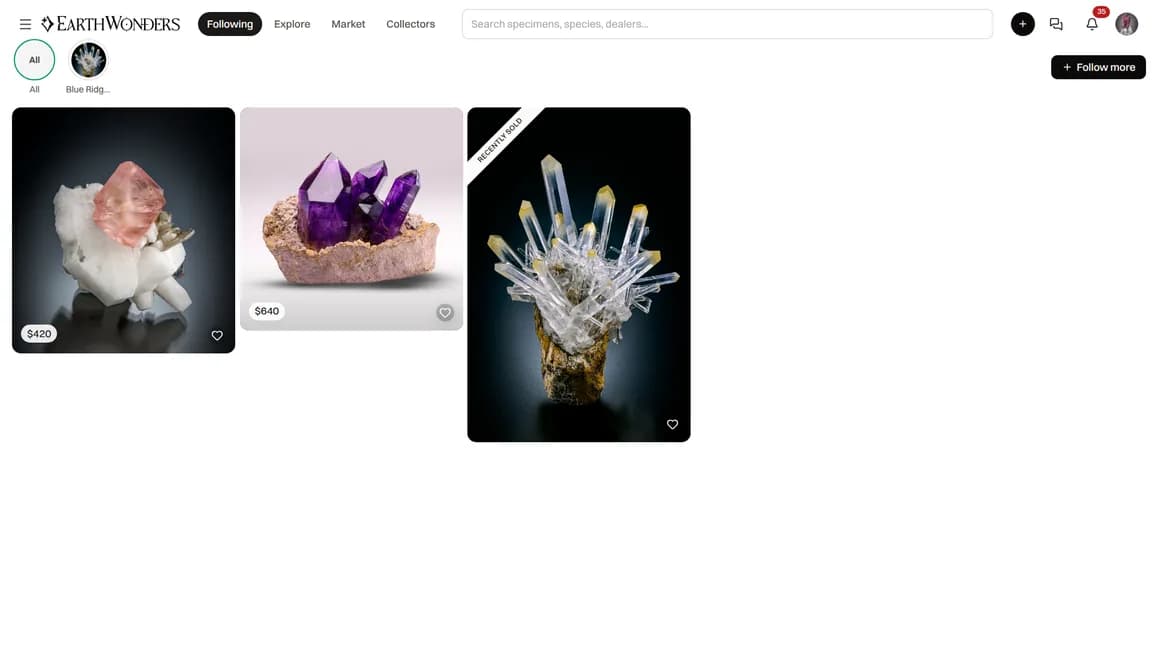 The home page with the Following tab selected and content from followed members