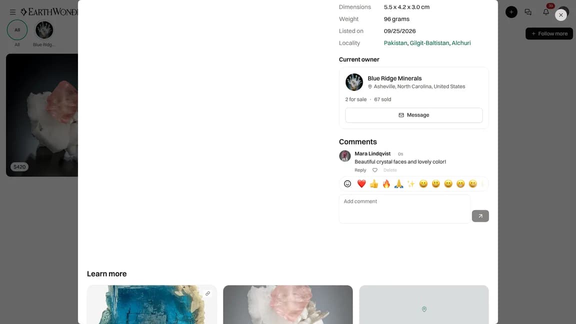 A specimen page with a newly posted comment in the comments section