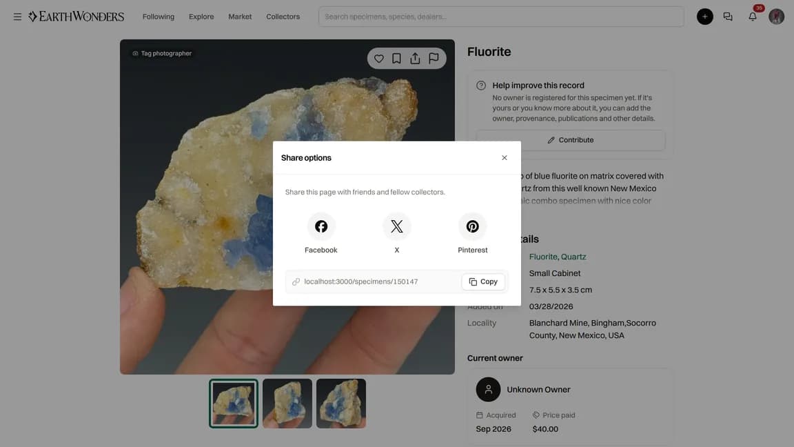 Share options with Facebook, X, Pinterest, and a Copy button beside the link
