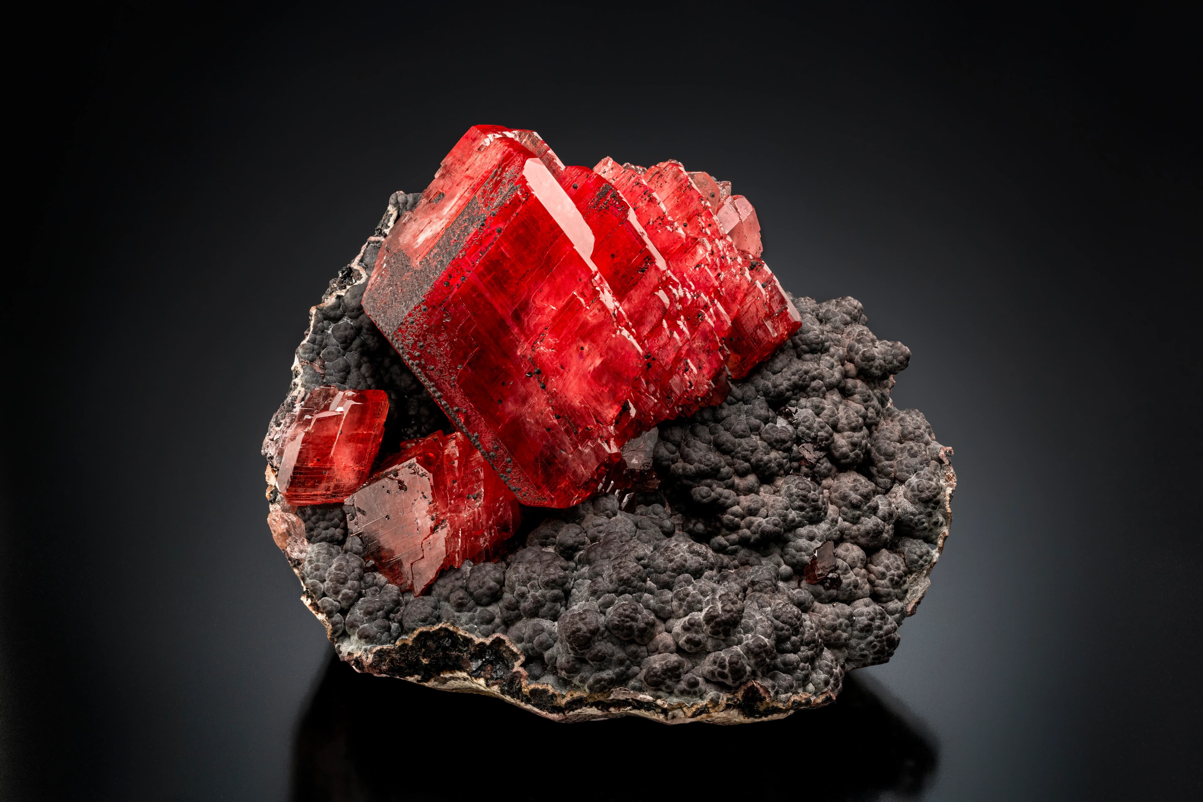 EarthWonders — Year in Review: A Year Built by Collectors