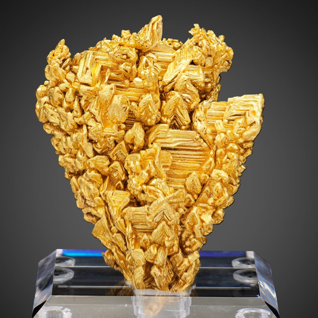 Gold - Ex. Dan Kennedy