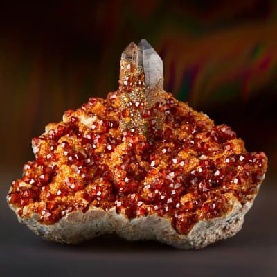 Garnets on Smoky Quartz